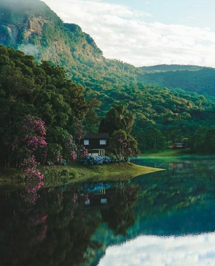 Casa às margens do lago cercada de hortênsias e flores